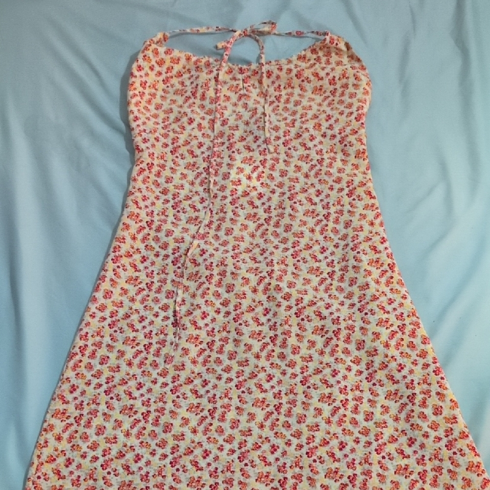 Express Floral Dress